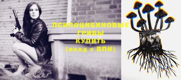 трава Бородино