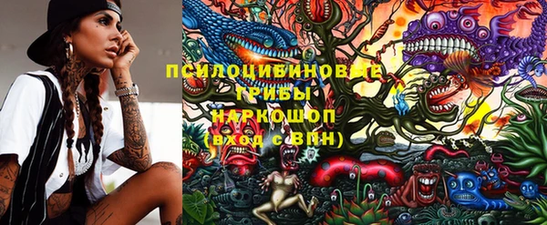молекула духа Сосновый Бор