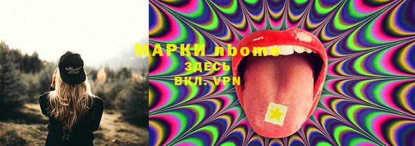 гидра Бронницы