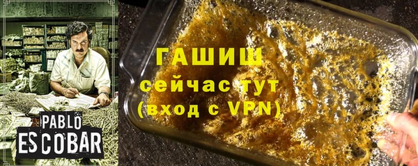 гидра Бронницы